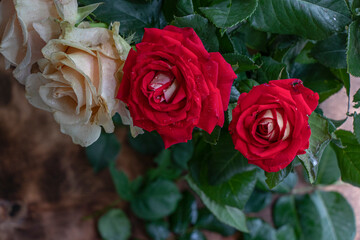 Multicolored bouquet of fresh roses on a wooden background. Beautiful flowers.