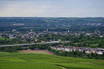 Fototapeta na wymiar Rheinblick