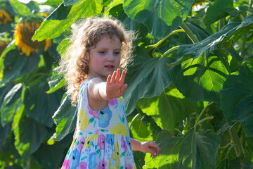 Little girl in the sunflowers field.