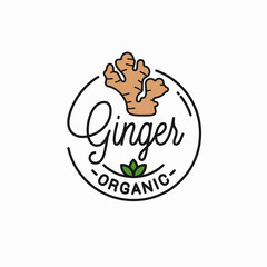 Ginger root logo. Round linear of ginger