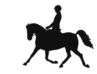 Horseback riding, equestrian sport, boy is riding a pony, vector silhouette