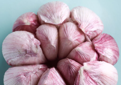coves of garlic close up on blue background