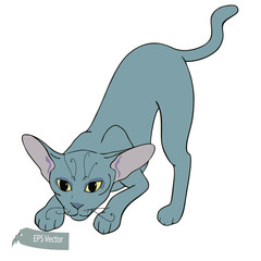 Cat color illustration. Vector. Gray pink and yellow. Cartoon style. Can be used for prints, presentations or illustrations