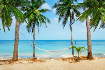 Hammock between two coconut trees on a tropical island with beautiful beach