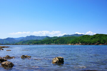 ウミネコのいる浜辺 Wall Mural Wallpaper Murals Pocketalbum ウミネコのいる浜辺 Wall Mural Wallpaper Murals Pocketalbum