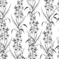 Seamless vector botanical pattern with sketches of hairy willowherb plant on white background. Flowers and herbs. For textiles, fabrics, covers, wallpapers, print, wrapping gift