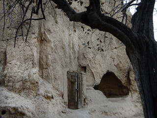 Dried pistachio tree and habitation of Islamic hermit in the cave, near by Mausoleum of Hodja or...