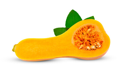 Fresh butternut pumpkin, isolated on a white background