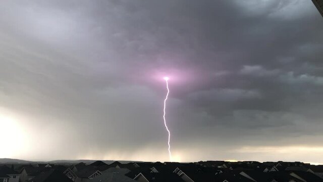 lightning in the storm in tree branch configuration