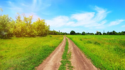 Road trail in nature on a sunny day, summer landscape, conceptual