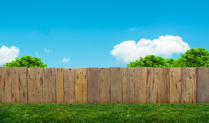 tree in garden and wooden backyard fence with grass