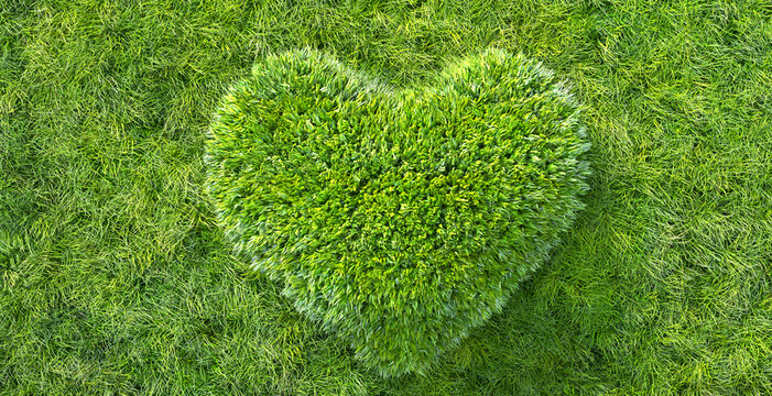 green grass in heart shape concept of environment and sustainability