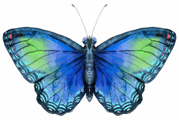 Vector blue butterfly with green spots, isolated on white