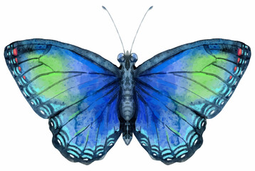 Vector blue butterfly with green spots, isolated on white