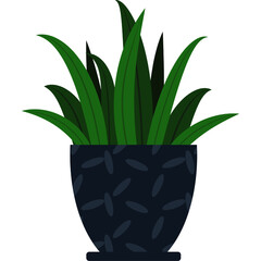 Green plant with long leaves in a flower pot with a pattern