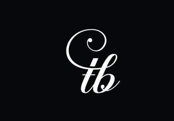 Initial Monogram Letter T B Logo Design Vector Template. T B Letter Logo Design