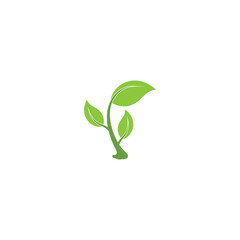 Leaf Logo Template vector symbol