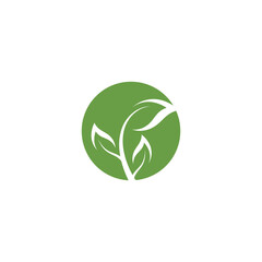 Leaf Logo Template vector symbol