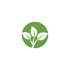 Leaf Logo Template vector symbol