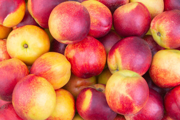 Nectarines background