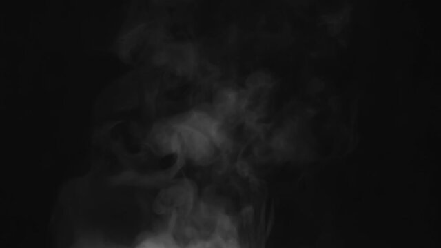 Curving White Steam on a Black Screen. White Steam rises from a large pot that is behind the scenes. Black background. Filmed at a speed of 240fps