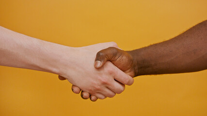 Close up of a handshake. Black and white hand, interracial friendship and cooperation concept.