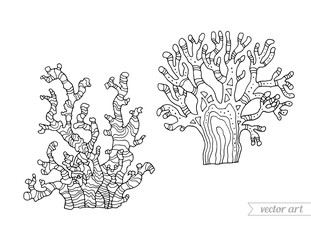 Coral isolated, set collection. Vector illustration. Zentangle. Coloring book page for adult. Hand drawn artwork. Black and white