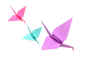 Colorful origami cranes team flying isolated on white
