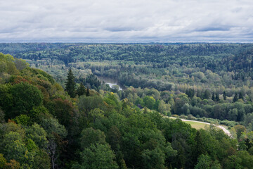 Bird's eye view of mighty forest on rainy day and river. Europian mixed wood