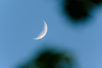 Obraz na płótnie Canvas Moon in the sky with trees bokeh