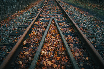 Schienen mit Herbstlaub - bedeckt mit Bl&auml;ttern