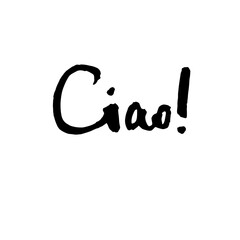 Handwritten vector words 