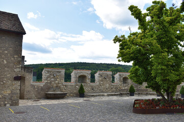 Fototapeta na wymiar Schloss Laufen-Uhwiesen am Rheinfall in der Schweiz 20.5.2020