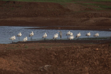 Fly high above the sky