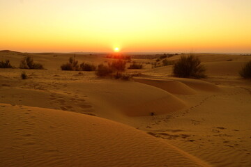 Fototapeta na wymiar Sunrise in the Thar desert of India