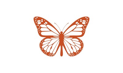 butterfly, insect, beauty, wings, butterflies