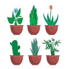 cartoon indoor plants vector