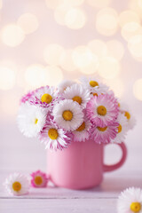 Bouquet of beautiful English daisy flowers in pink cup against sparkle background. Summer still life with little chamomile. Mother day greeting card.