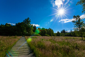 Der Weg