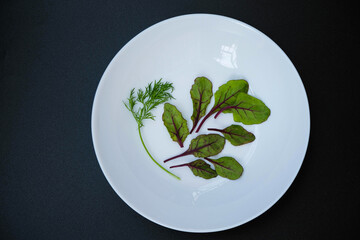Small red beet leaves and a sprig of dill on a white plate. Micro greens. White plate on a black surface. Copy space.
