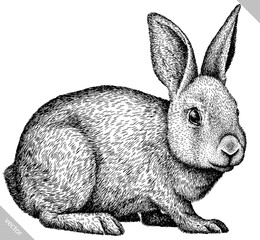 black and white engrave isolated rabbit vector illustration © Turaev