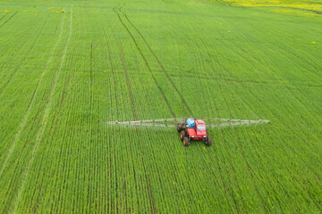 Treatment of wheat fields with herbicides. A tractor with a spray gun is walking on a green field....