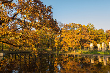 beautiful autumn park at sunny weather