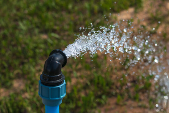 bright lighting. equipped well under water. Their PVC pipe is blue. Close-up