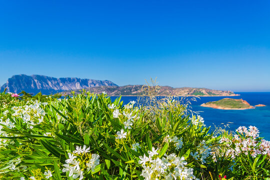 Sea view in Capo Coda Cavallo (Olbia, Sardinia, Italy).