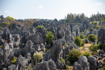 February 2019, Kuniming, Yunnan Stone Forest Geological Park , Shilin County.  The Kunming Stone...