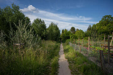 Gonsbachtal Mainz-Gonsenheim