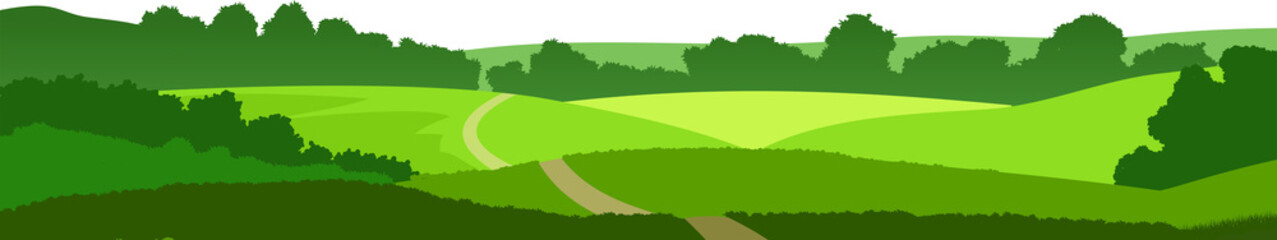 Fields, meadows and pastures. Rural landscape. Road through the hills. Graceful young trees. Isolated vector on a white background.View of the plain.