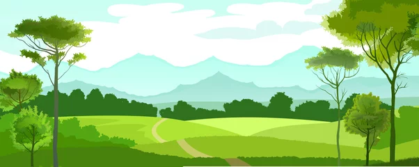  Fields, meadows and pastures. Rural landscape. Road through the hills. Graceful young trees. In the distance the mountain horizon. The sky with clouds.View of the plain. © WebPAINTER-Std