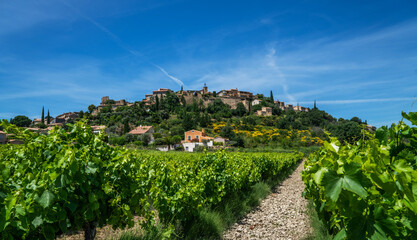Scenic view the vineyards southern Cotes-du-Rhone Villages. Countryside landscape in Gordes, Vaucluse, Provence, France, Europe.